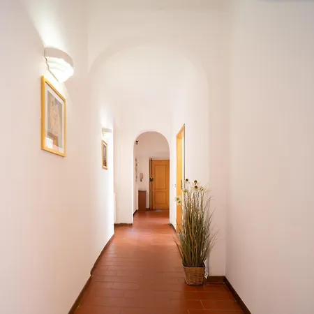 Cimabue - Spacious In The Heart Of