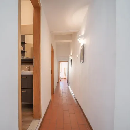 Cimabue - Spacious In The Heart Of